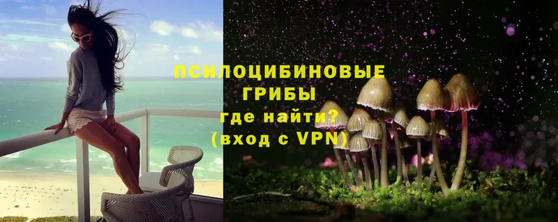 Галлюциногенные грибы Psilocybe  Ялта 